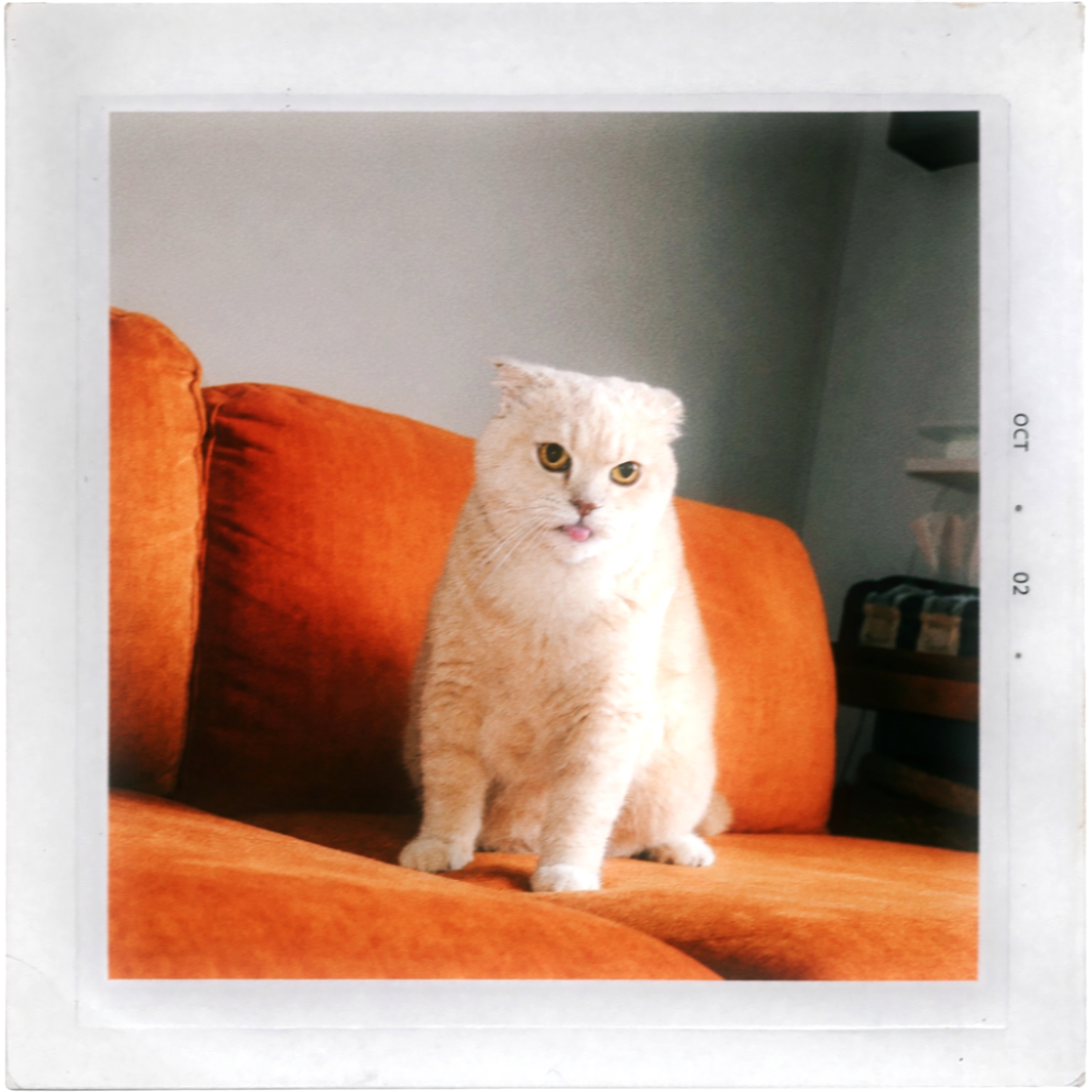 Image Cover